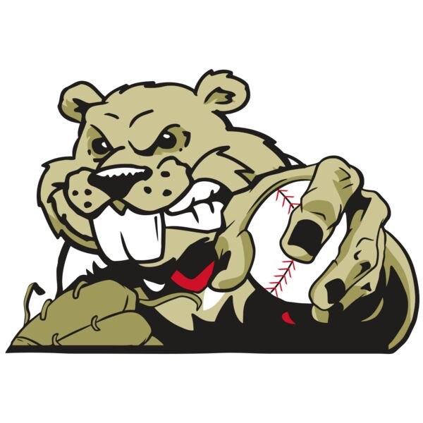 AR4 BEAVER 06 RQC Thumbnail