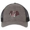Territory Trucker Cap Thumbnail