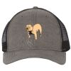 Territory Trucker Cap Thumbnail