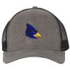 Territory Trucker Cap Thumbnail