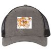 Territory Trucker Cap Thumbnail