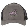 Territory Trucker Cap Thumbnail